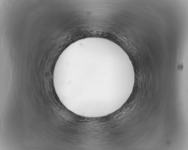X0000091210769200708091115