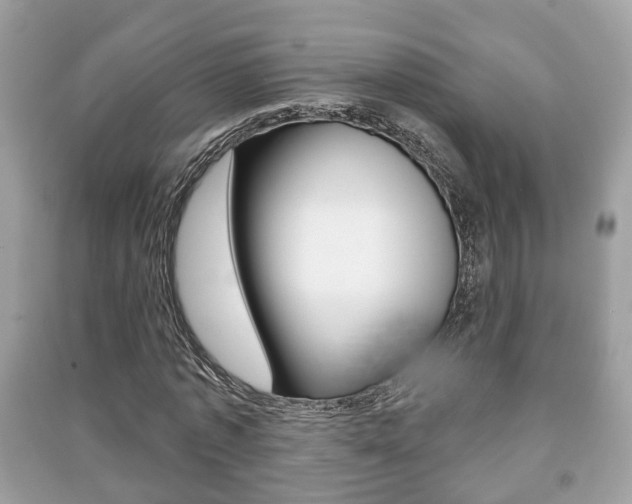 X0000091210773200708091115