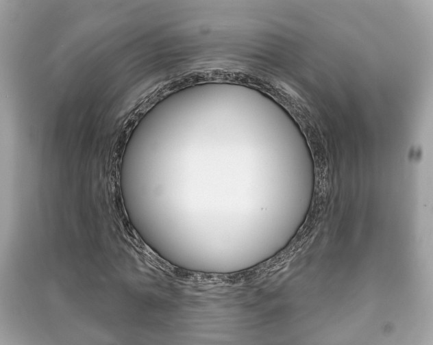 X0000091210774200708091115