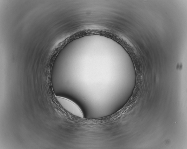 X0000091210775200708091115
