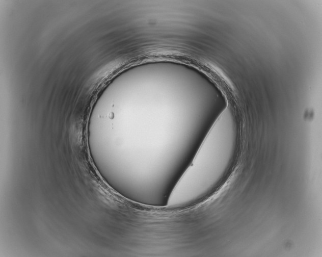 X0000091210777200708091115