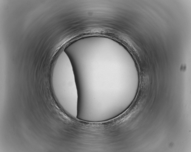 X0000091210778200708091115
