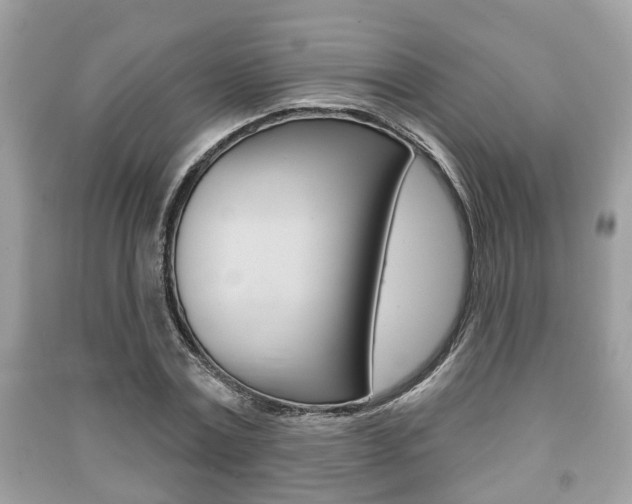 X0000091210779200708091115