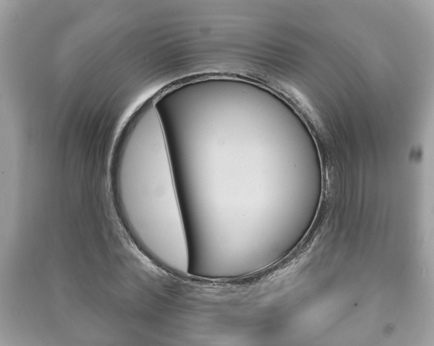 X0000091210780200708091115