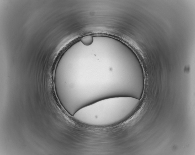 X0000091210782200708091115