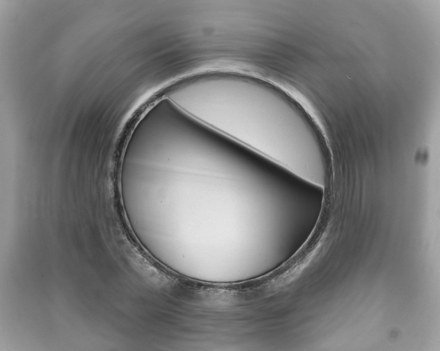 X0000091210783200708091115