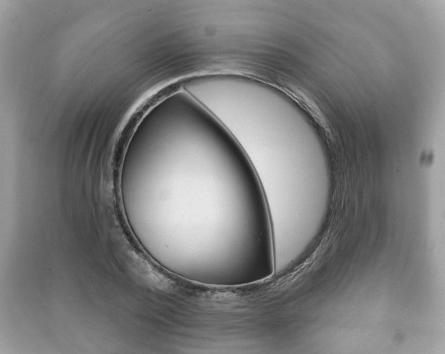 X0000091210784200708091115