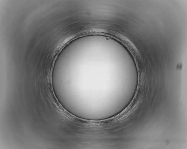 X0000091210785200708091115
