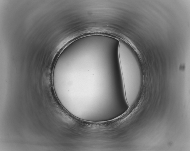 X0000091210786200708091115