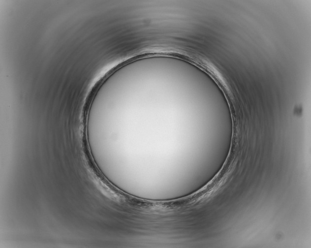 X0000091210787200708091115
