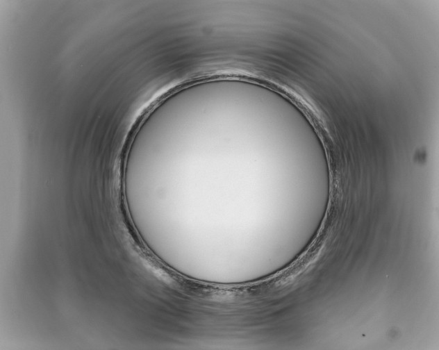 X0000091210790200708091115