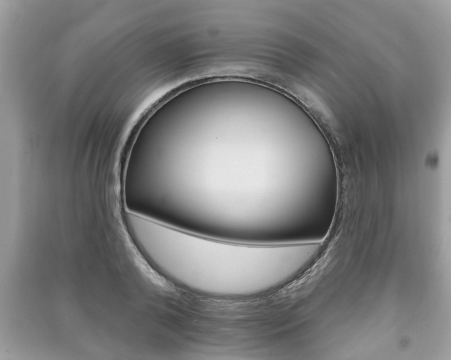 X0000091210792200708091115
