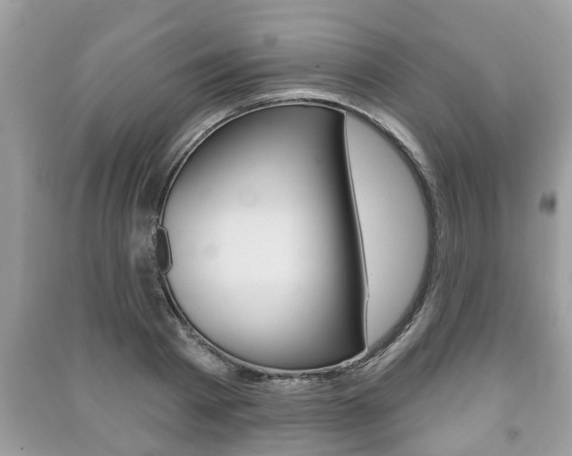 X0000091210793200708091115