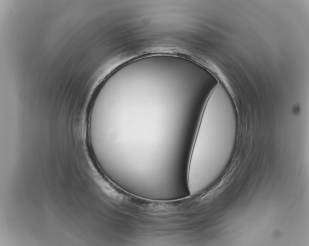 X0000091210795200708091115