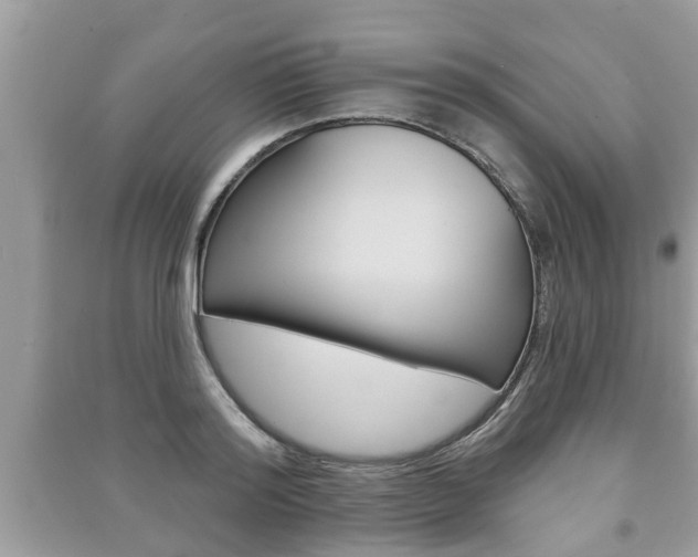 X0000091210796200708091115