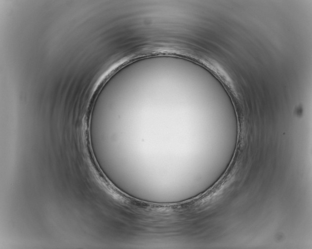 X0000091210798200708091114
