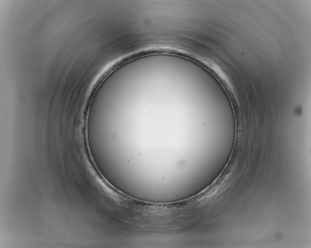 X0000091210799200708091114