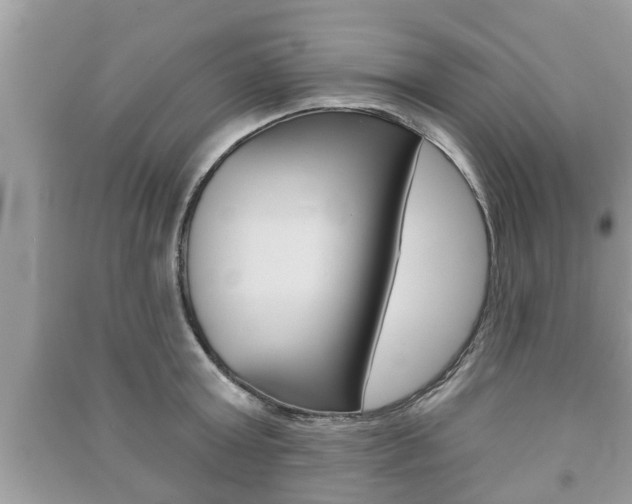 X0000091210803200708091114