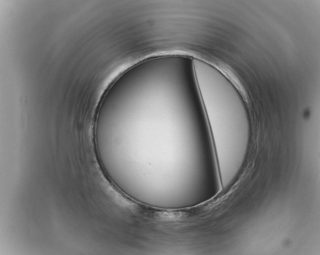X0000091210805200708091114