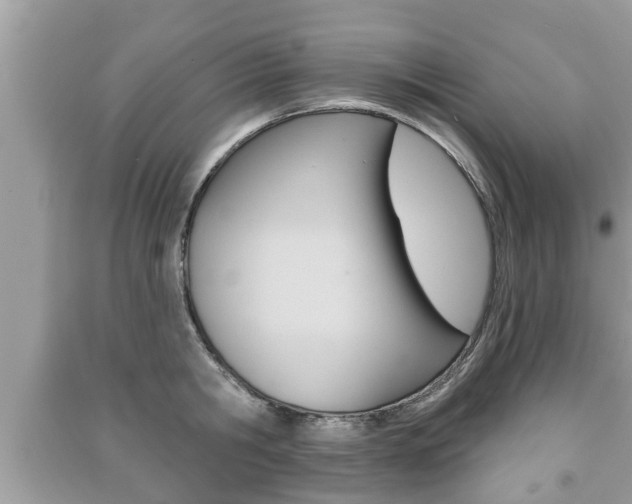 X0000091210806200708091114