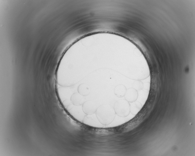 X0000091210807200708091114
