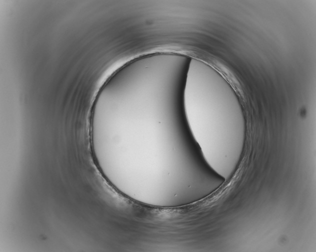 X0000091210808200708091114