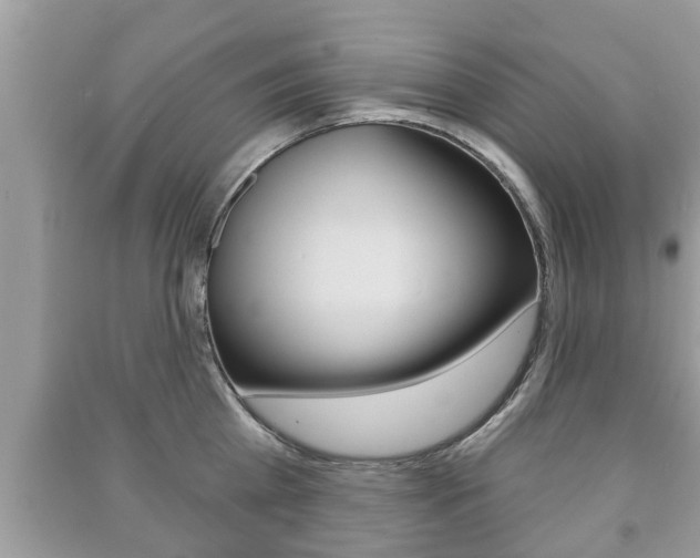 X0000091210809200708091114