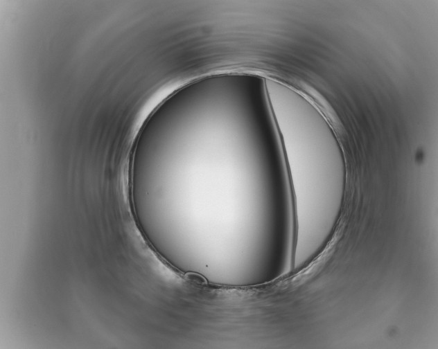 X0000091210812200708091114