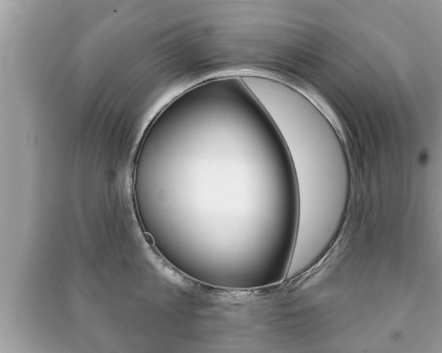 X0000091210813200708091114