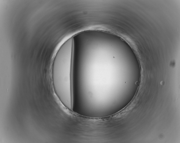 X0000091210816200708091114
