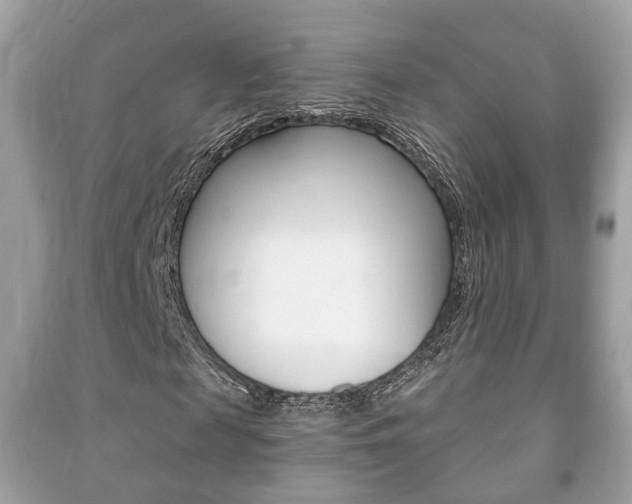 X0000091210817200708091113