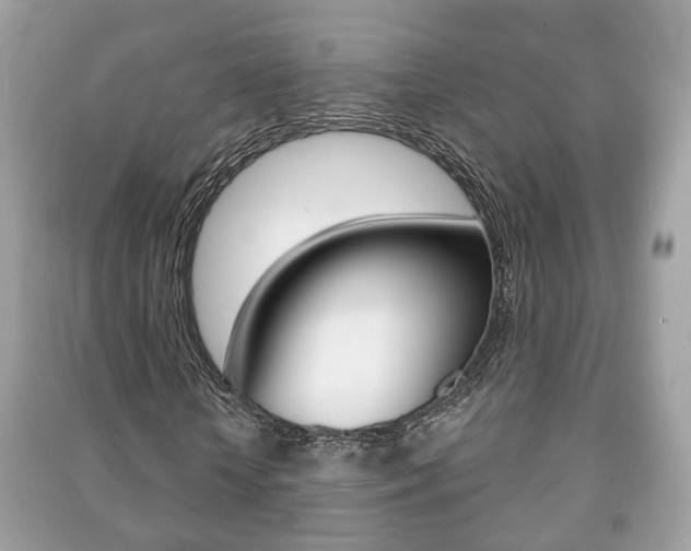 X0000091210818200708091114