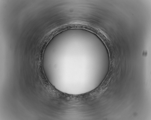 X0000091210821200708091114