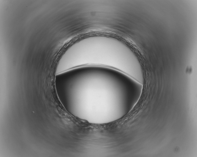 X0000091210822200708091114