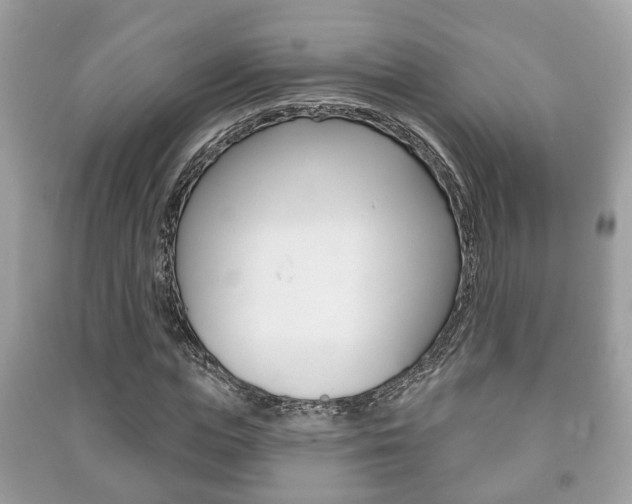 X0000091210823200708091114