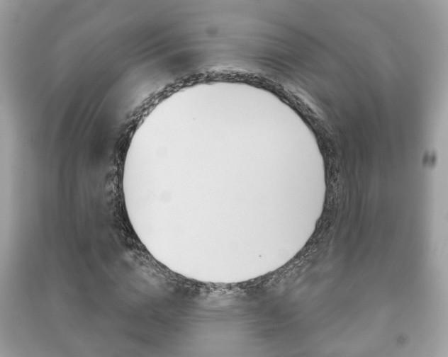 X0000091210824200708091114