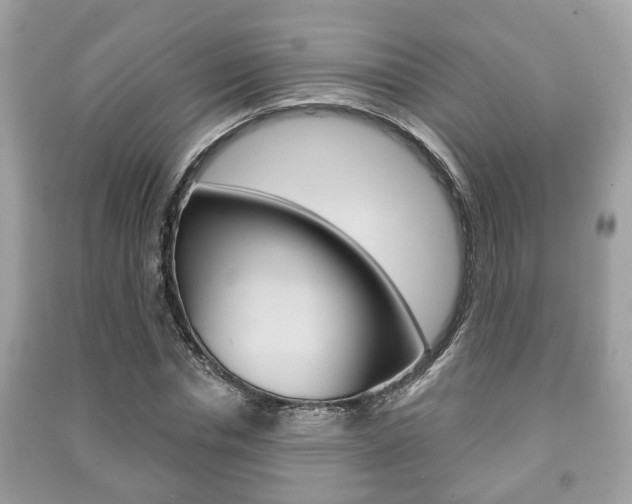 X0000091210826200708091114