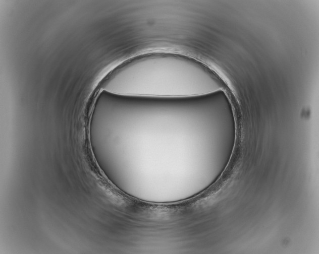 X0000091210829200708091114