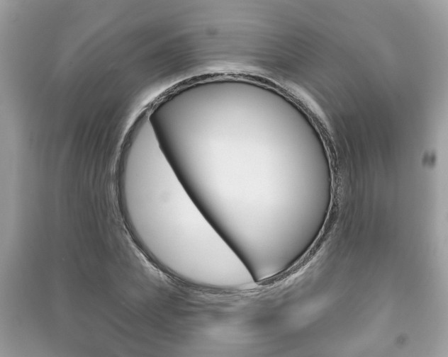 X0000091210831200708091114