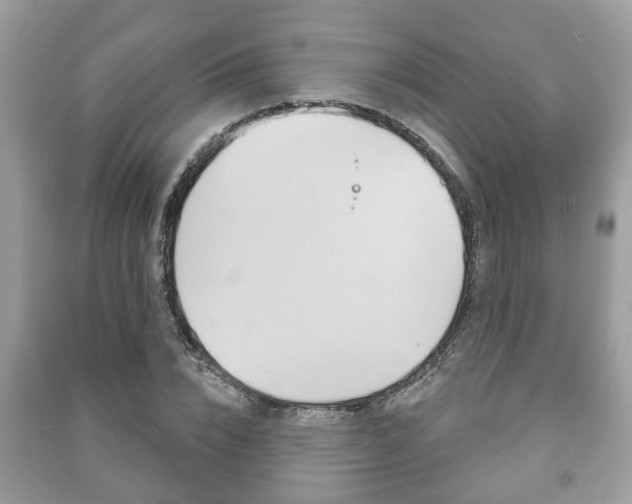 X0000091210832200708091114