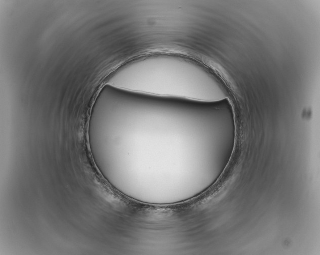 X0000091210833200708091114