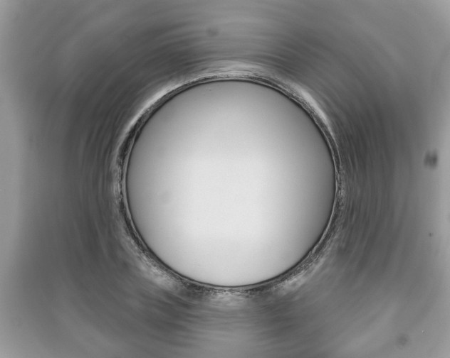 X0000091210835200708091114