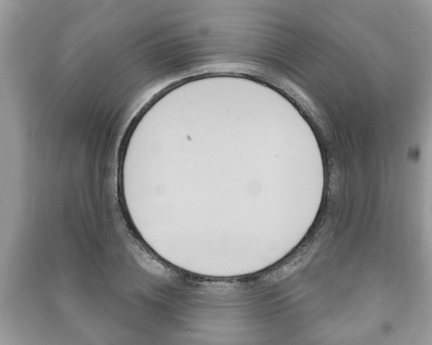 X0000091210836200708091114