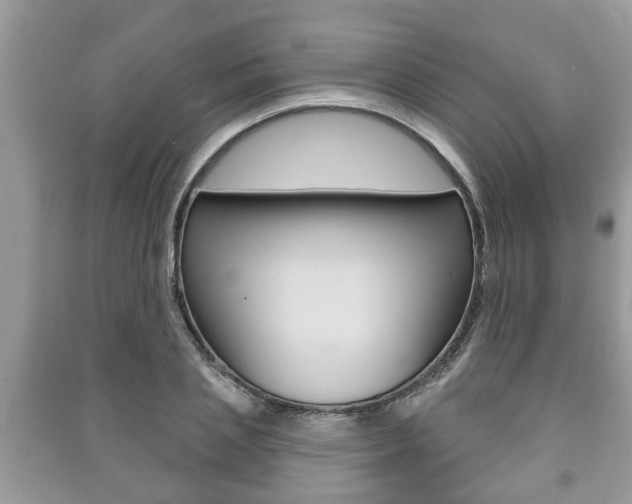 X0000091210837200708091114