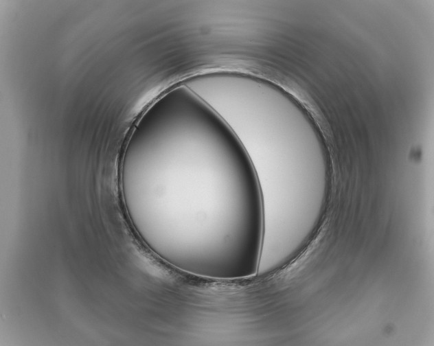 X0000091210842200708091114