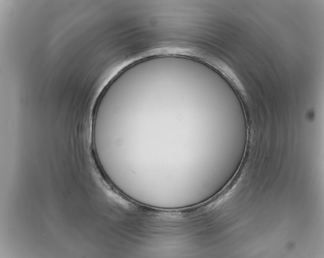 X0000091210844200708091114