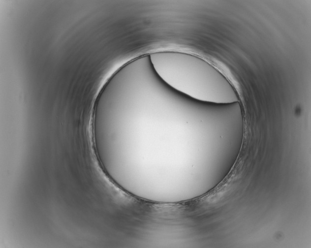 X0000091210863200708091114