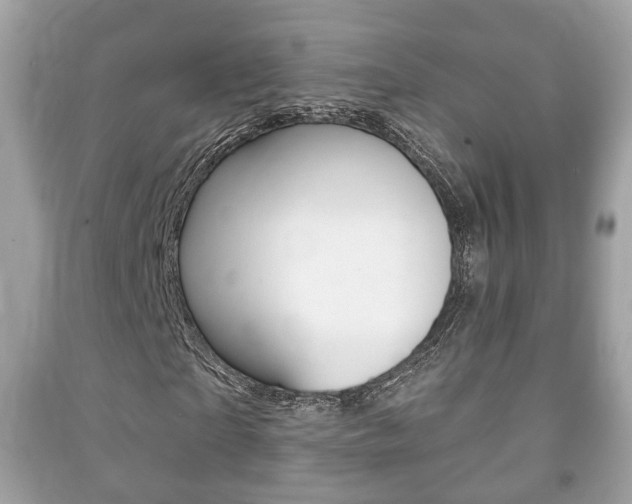 X0000091210865200708091113