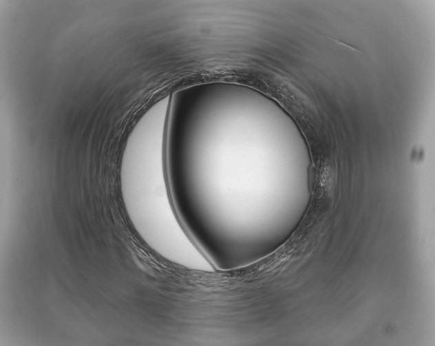 X0000091210868200708091113