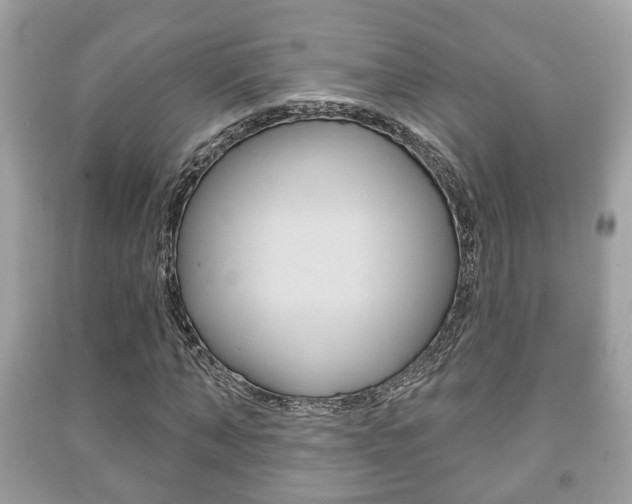 X0000091210870200708091113